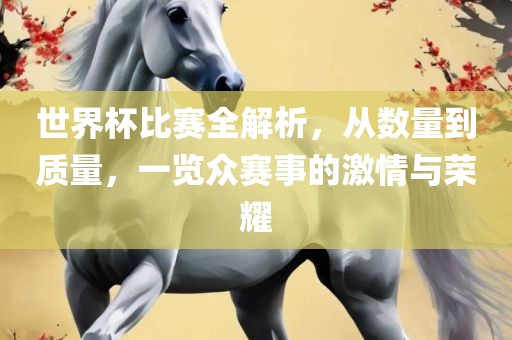 世界杯比赛全解析，从数量到质量，一览众赛事的激情与荣耀
