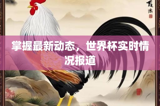 掌握最新动态，世界杯实时情况报道