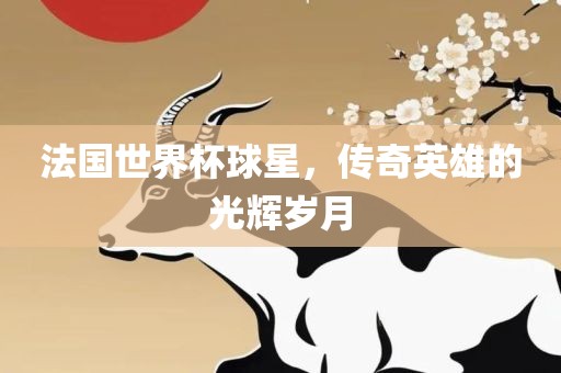 法国世界杯球星，传奇英雄的光辉岁月