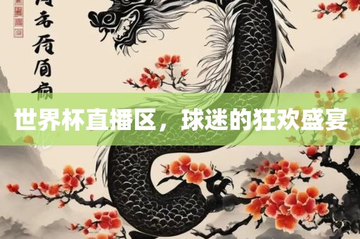 世界杯直播区，球迷的狂欢盛宴