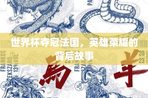 世界杯夺冠法国，英雄荣耀的背后故事