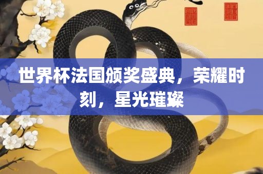 世界杯法国颁奖盛典，荣耀时刻，星光璀璨