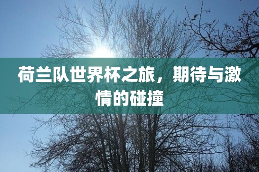 荷兰队世界杯之旅，期待与激情的碰撞