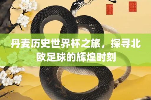 丹麦历史世界杯之旅，探寻北欧足球的辉煌时刻