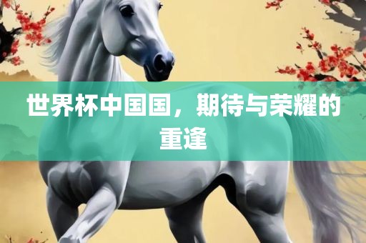 世界杯中国国，期待与荣耀的重逢
