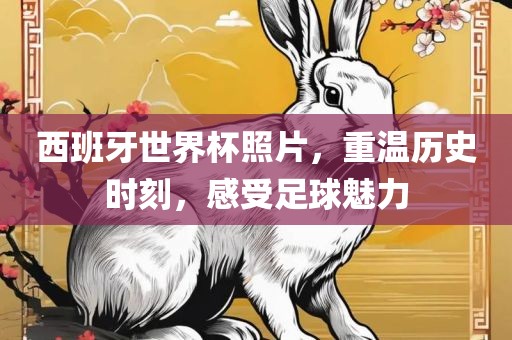 西班牙世界杯照片，重温历史时刻，感受足球魅力