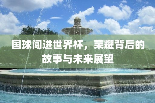 国球闯进世界杯，荣耀背后的故事与未来展望