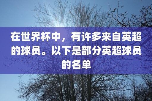 在世界杯中，有许多来自英超的球员。以下是部分英超球员的名单
