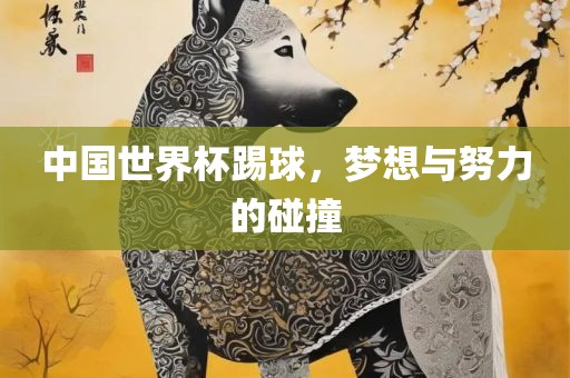 中国世界杯踢球，梦想与努力的碰撞