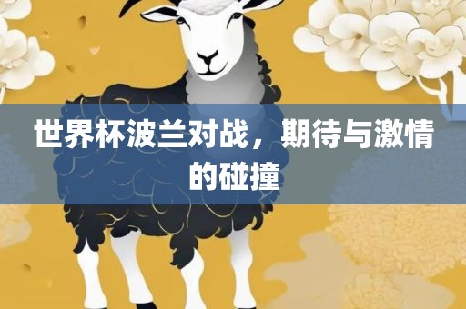 世界杯波兰对战，期待与激情的碰撞