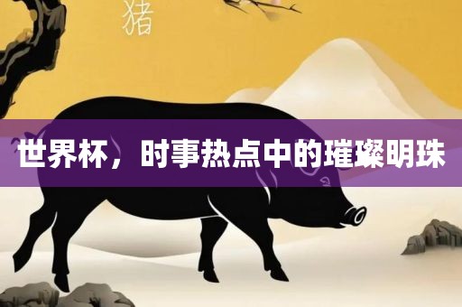世界杯，时事热点中的璀璨明珠
