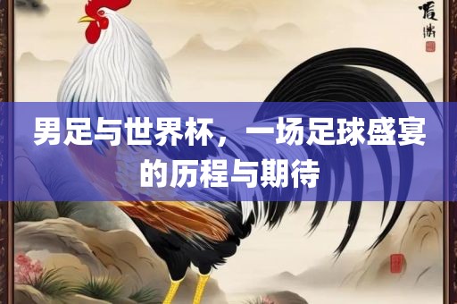 男足与世界杯，一场足球盛宴的历程与期待