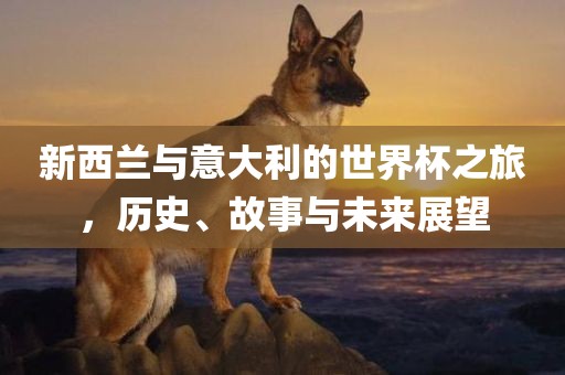 新西兰与意大利的世界杯之旅，历史、故事与未来展望