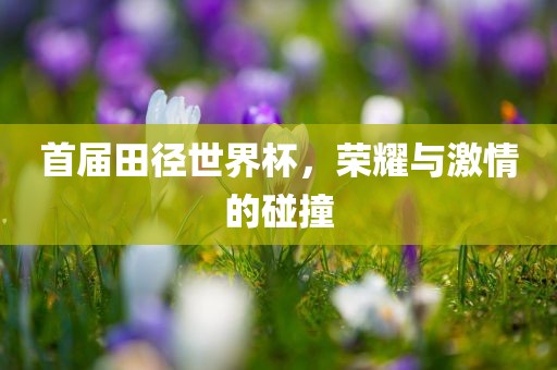 首届田径世界杯，荣耀与激情的碰撞
