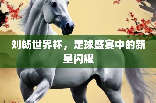 刘畅世界杯，足球盛宴中的新星闪耀
