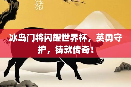 冰岛门将闪耀世界杯，英勇守护，铸就传奇！