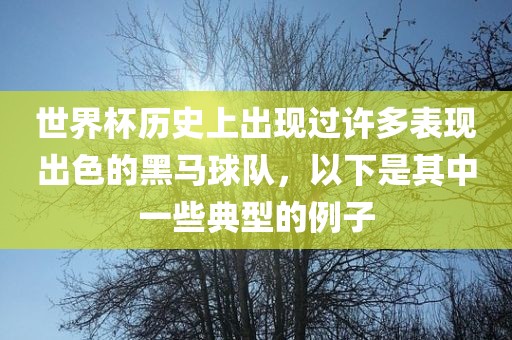 世界杯历史上出现过许多表现出色的黑马球队，以下是其中一些典型的例子
