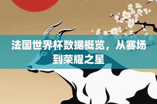 法国世界杯数据概览，从赛场到荣耀之星
