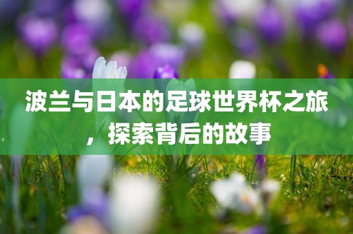 波兰与日本的足球世界杯之旅，探索背后的故事