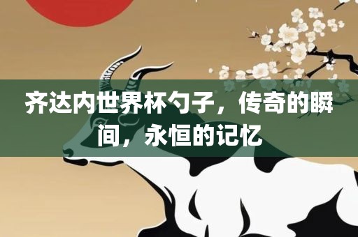 齐达内世界杯勺子，传奇的瞬间，永恒的记忆