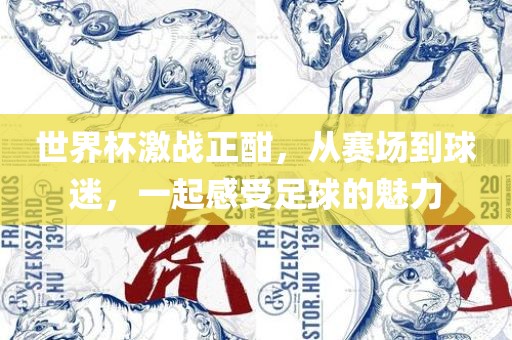 世界杯激战正酣，从赛场到球迷，一起感受足球的魅力