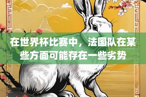 在世界杯比赛中，法国队在某些方面可能存在一些劣势