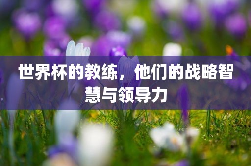 世界杯的教练，他们的战略智慧与领导力