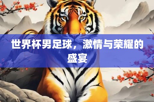 世界杯男足球，激情与荣耀的盛宴