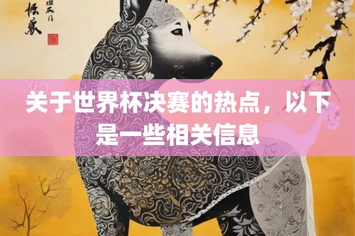 关于世界杯决赛的热点，以下是一些相关信息