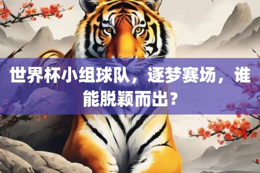 世界杯小组球队，逐梦赛场，谁能脱颖而出？