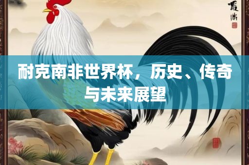 耐克南非世界杯，历史、传奇与未来展望