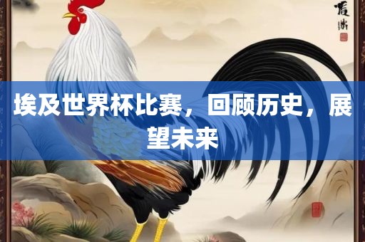 埃及世界杯比赛，回顾历史，展望未来