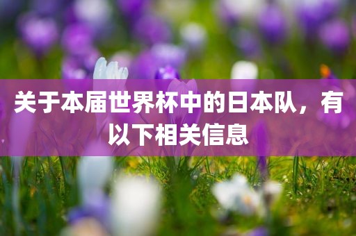 关于本届世界杯中的日本队，有以下相关信息