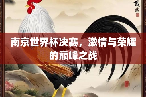 南京世界杯决赛，激情与荣耀的巅峰之战