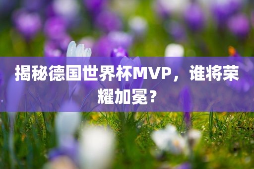 揭秘德国世界杯MVP，谁将荣耀加冕？