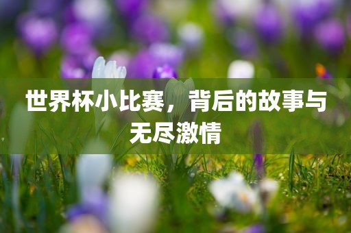 世界杯小比赛，背后的故事与无尽激情