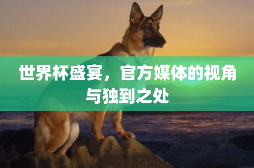 世界杯盛宴，官方媒体的视角与独到之处