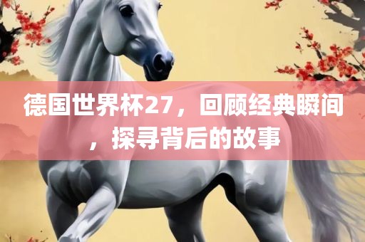 德国世界杯27，回顾经典瞬间，探寻背后的故事