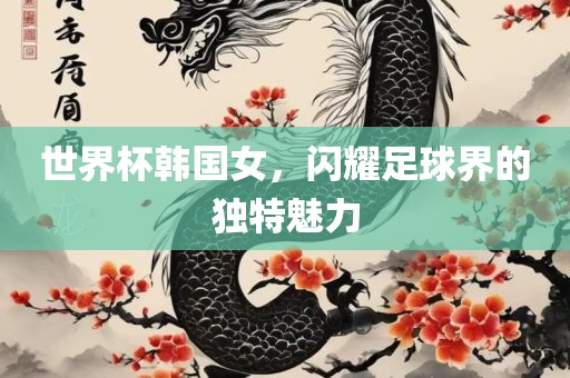世界杯韩国女，闪耀足球界的独特魅力