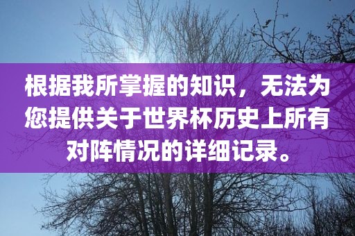 根据我所掌握的知识，无法为您提供关于世界杯历史上所有对阵情况的详细记录。