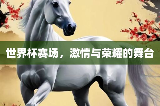 世界杯赛场，激情与荣耀的舞台
