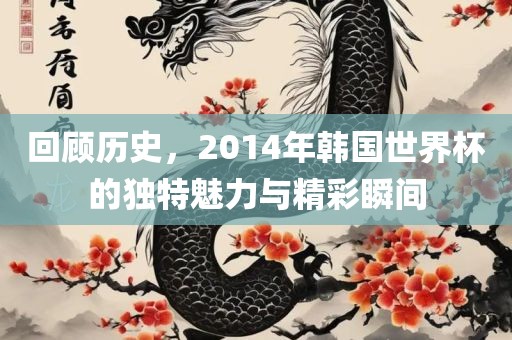 回顾历史，2014年韩国世界杯的独特魅力与精彩瞬间