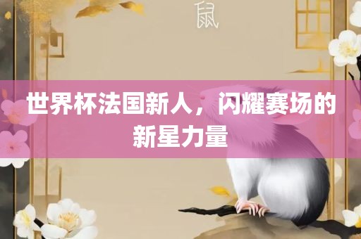 世界杯法国新人，闪耀赛场的新星力量