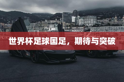 世界杯足球国足，期待与突破