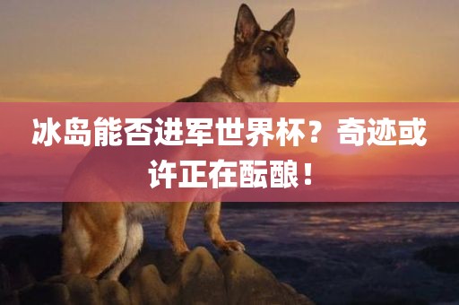 冰岛能否进军世界杯？奇迹或许正在酝酿！