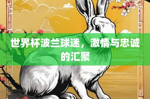 世界杯波兰球迷，激情与忠诚的汇聚