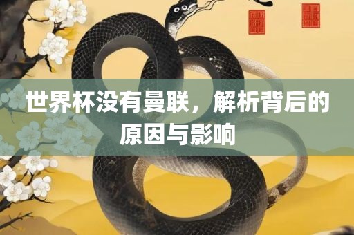 世界杯没有曼联，解析背后的原因与影响
