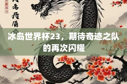 冰岛世界杯23，期待奇迹之队的再次闪耀