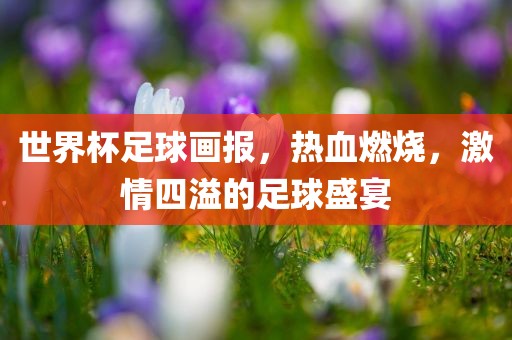 世界杯足球画报，热血燃烧，激情四溢的足球盛宴