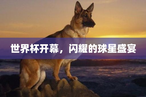 世界杯开幕，闪耀的球星盛宴